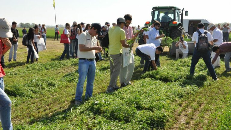 Lee más sobre el artículo Los contratistas bajan las tarifas agrícolas y suben las forrajeras