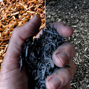 Lee más sobre el artículo La «heroica» define su primer parque de secuestro de carbono para mejorar los suelos