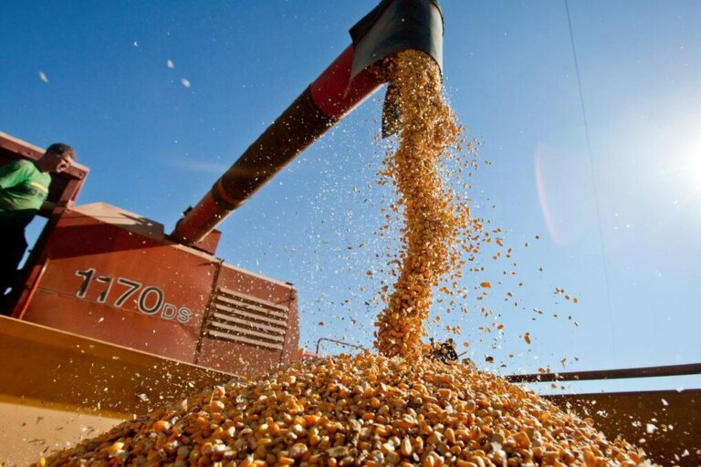 Lee más sobre el artículo Súper cosecha norteamericana compromete los precios agrícola