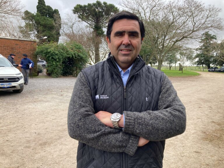 Lee más sobre el artículo Las super características que promueve la selección Angus