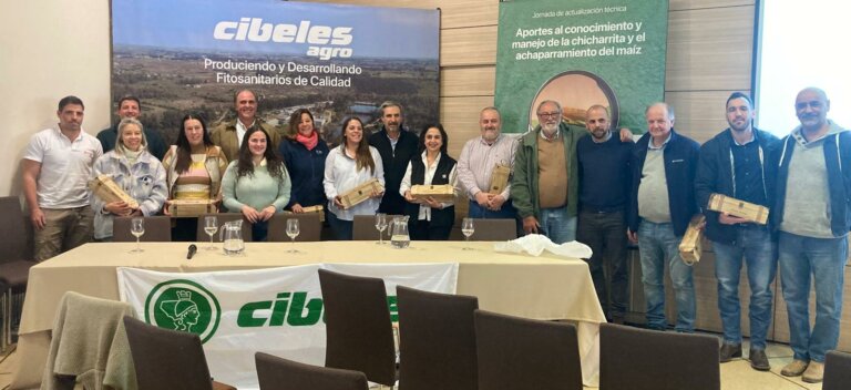 Lee más sobre el artículo Maíz: las claves para resolver con el «menor riesgo»