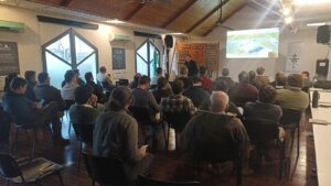 Lee más sobre el artículo Girasol: el cultivo que despega en el litoral