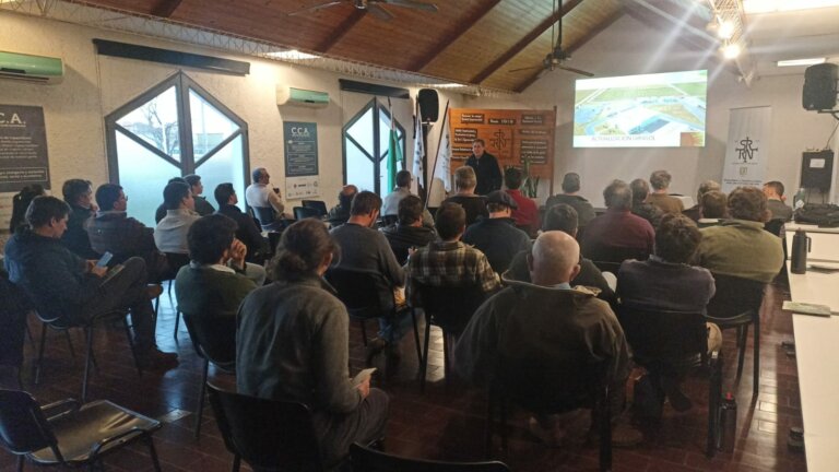 Lee más sobre el artículo Girasol: el cultivo que despega en el litoral