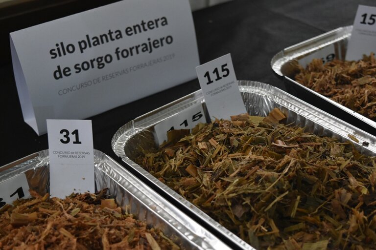 Lee más sobre el artículo El aporte de las reservas forrajeras para la óptima satisfacción del rodeo
