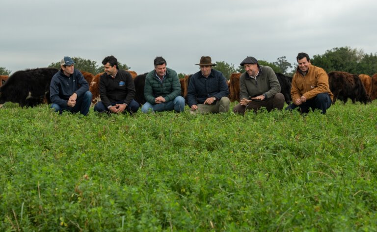 Lee más sobre el artículo Pasturas 2024: rotar para sumar en Rincón del Pino