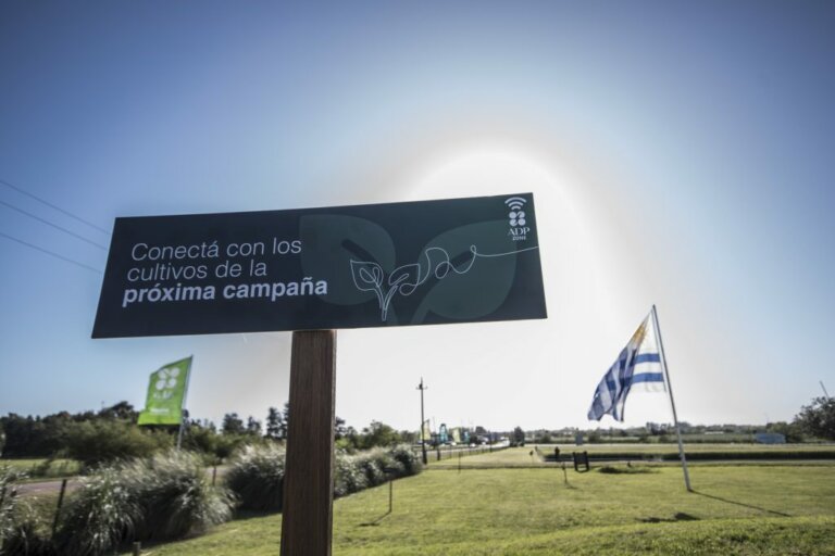 Lee más sobre el artículo La propuesta inimaginable de ADP Zone en su décima edición