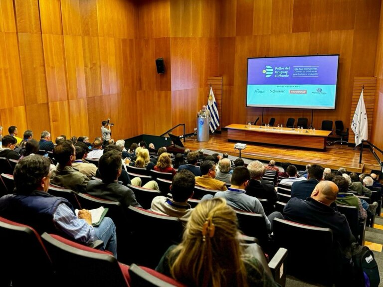 Lee más sobre el artículo El sector avícola lanzó su propuesta exportadora a diez años