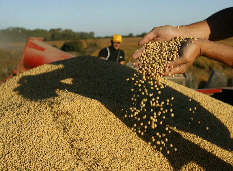 Lee más sobre el artículo Alerta regional por la falta de lluvias impulsa los precios agrícolas