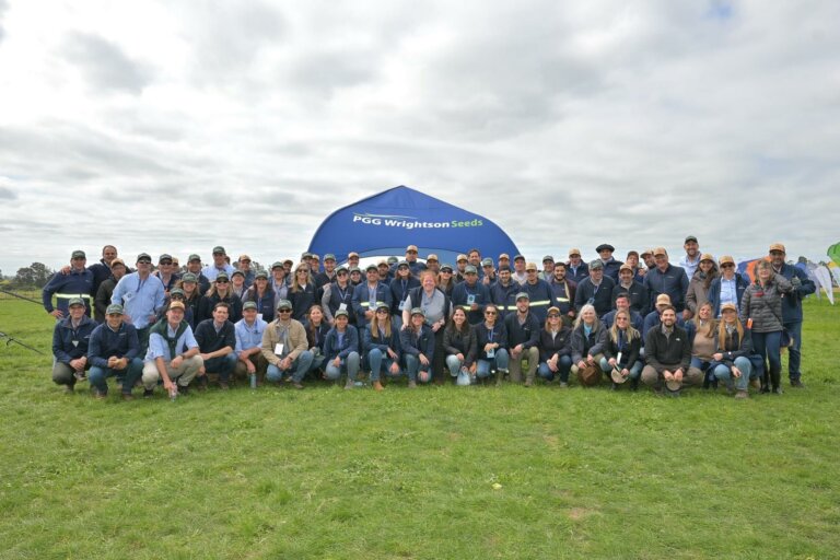 Lee más sobre el artículo Un sistema de rotación eficiente maximiza las pasturas en San José