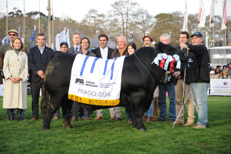 Lee más sobre el artículo Los campeones exhibieron lo mejor de la genética Angus y Hereford