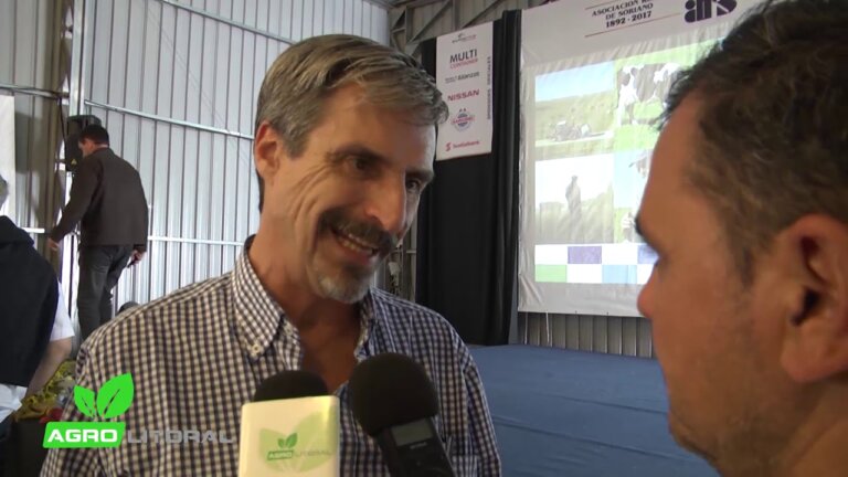 Lee más sobre el artículo La caliza agrícola impacta en el potencial de los cultivos