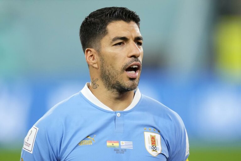 Lee más sobre el artículo Una plataforma digital permitirá reflejar la cara de Luis Suárez en un cultivo de maíz