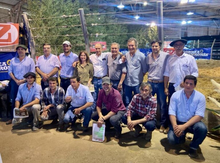 Lee más sobre el artículo Buenos precios y dinámica comercial en la zafra de toros