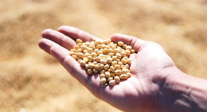 Lee más sobre el artículo Las tensiones globales le suman volatilidad a los valores agrícolas