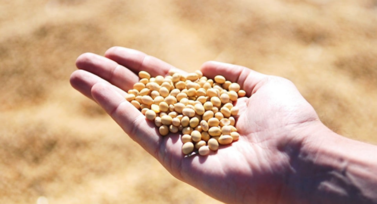 Lee más sobre el artículo Las tensiones globales le suman volatilidad a los valores agrícolas