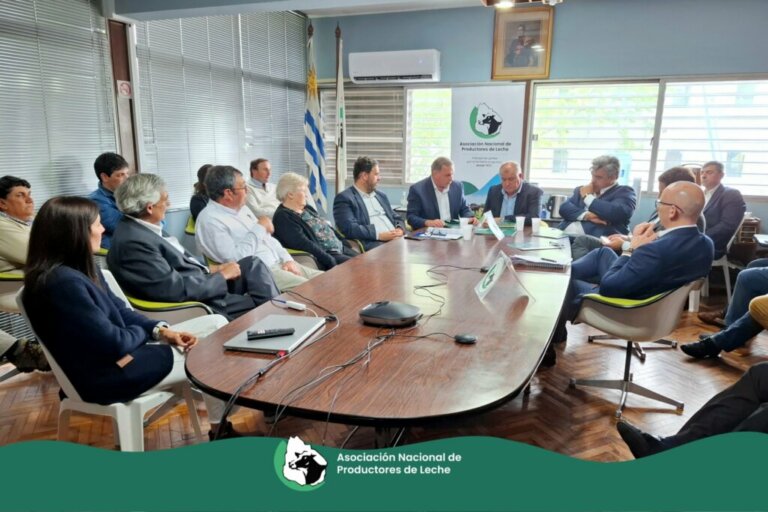 Lee más sobre el artículo El futuro del sector lechero perfilado en una propuesta hacia el futuro gobierno