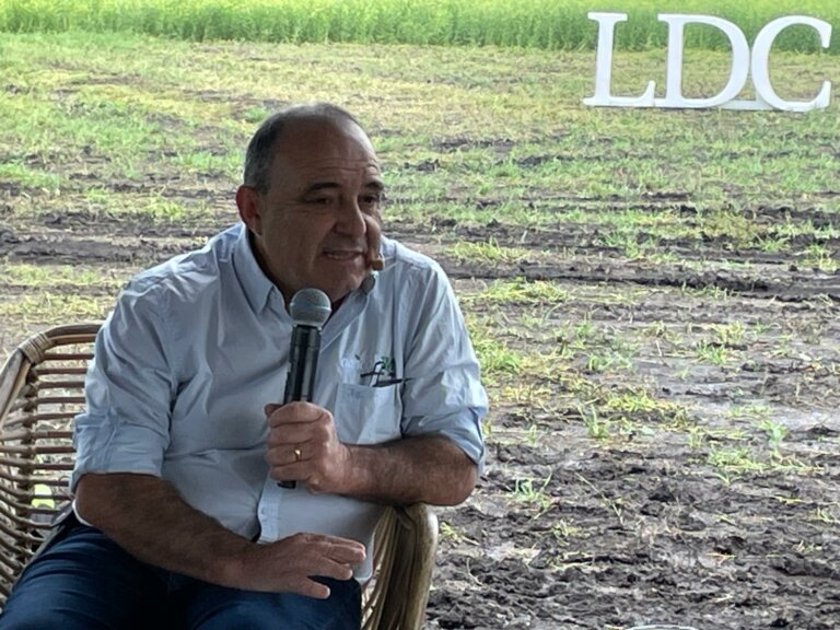 Lee más sobre el artículo La opción invernal que escala en virtud de sus riesgos acotados