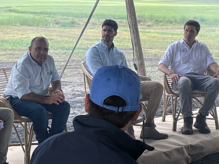 Lee más sobre el artículo Uruguay lidera en el cultivo de Camelina