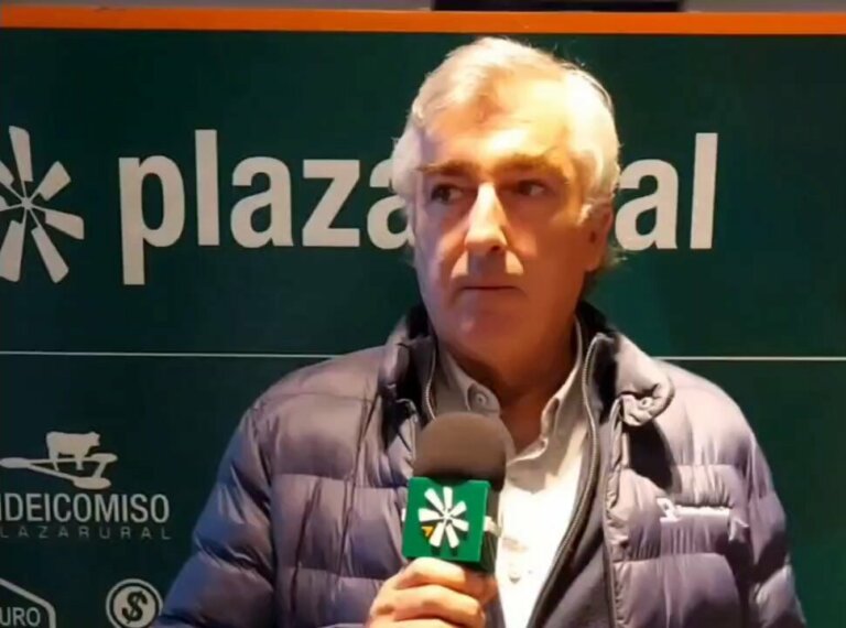 Lee más sobre el artículo La demanda supera a la oferta en el mercado de reposición