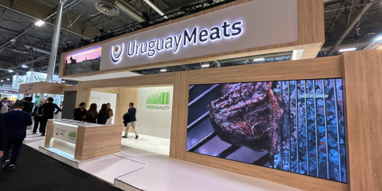 Lee más sobre el artículo Crecen las exportaciones de carne vacuna a la Unión Europea