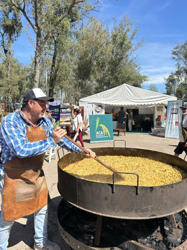 Lee más sobre el artículo El despegue basado en calidad y productividad