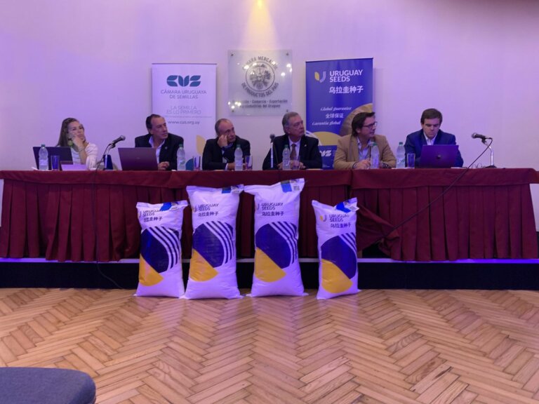 Lee más sobre el artículo El sector semillerista proyecta despegue de las exportaciones del rubro