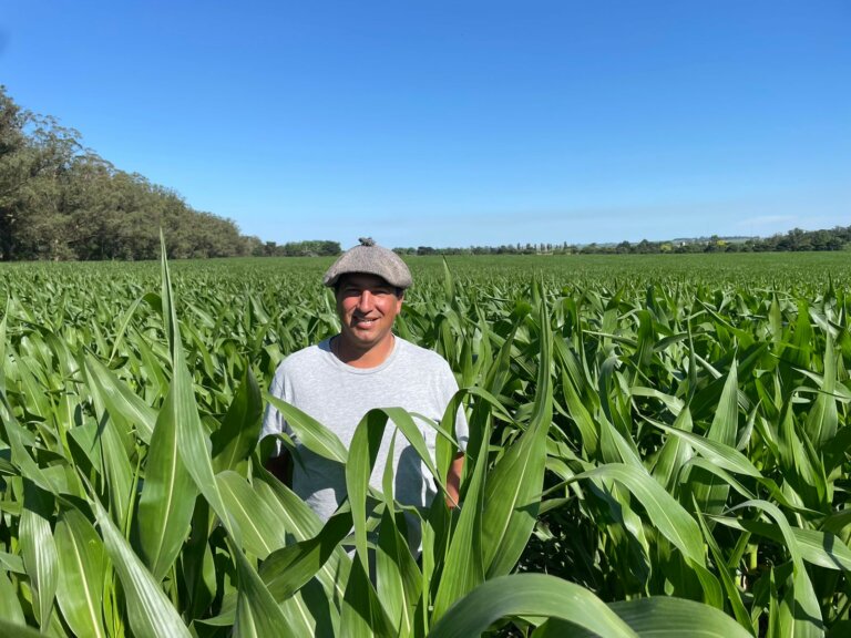 Lee más sobre el artículo Un escenario favorable para el desarrollo agrícola en Argentina