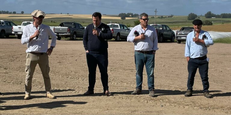 Lee más sobre el artículo El secreto de los corrales de engorde