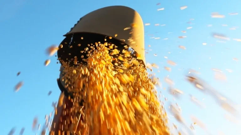 Lee más sobre el artículo Las pistas frente al emergente e incierto mercado agrícola