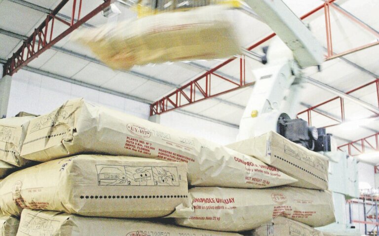 Lee más sobre el artículo Las demanda brasileña de lácteos en peligro a causa de factores cambiarios