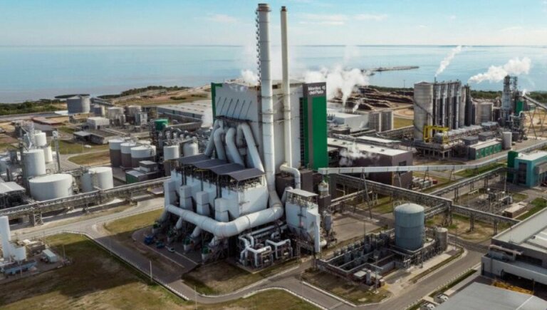 Lee más sobre el artículo Montes del Plata logró un récord de producción en el corriente año