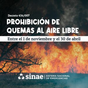 Lee más sobre el artículo Alerta por incendios alcanza todo el país
