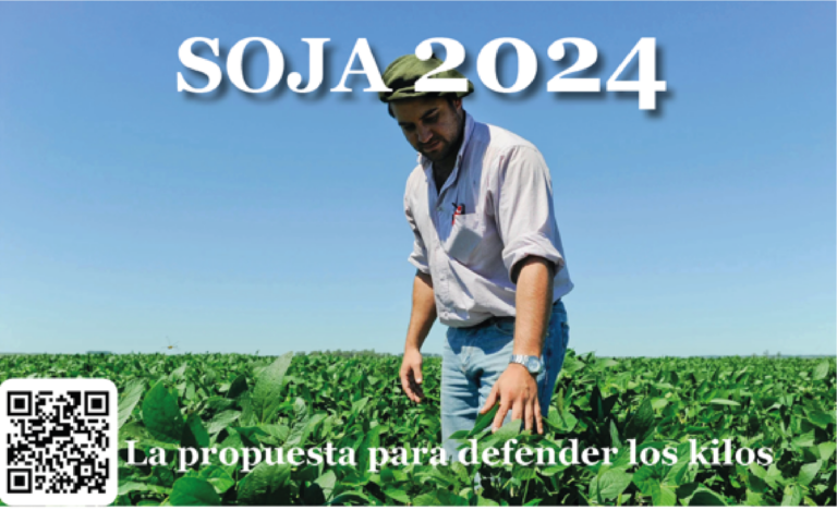 Lee más sobre el artículo Suplemento Soja 2024/2025