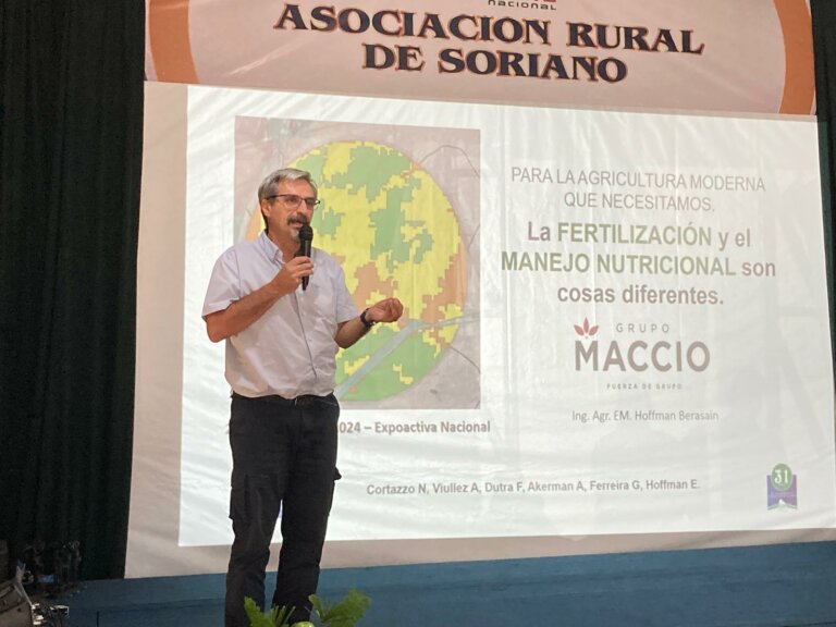 Lee más sobre el artículo Las claves para cortar la mala racha agrícola