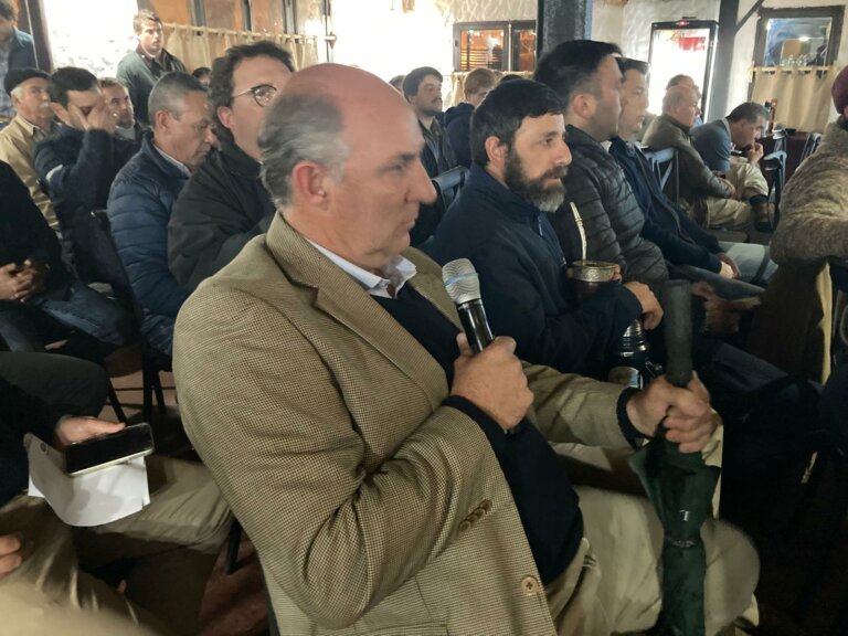 Lee más sobre el artículo La firmeza y estabilidad definen el mercado ganadero