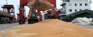 Lee más sobre el artículo El choque de fuerzas opuestas define el mercado agrícola