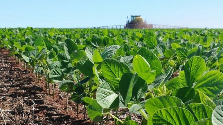 Lee más sobre el artículo Enero termina con la chance de tres episodios de lluvias