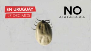 Lee más sobre el artículo Exhortan al uso responsable de productos veterinarios