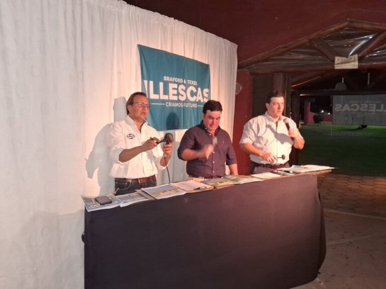 Lee más sobre el artículo Illescas vendió toda su Genética de Campeones