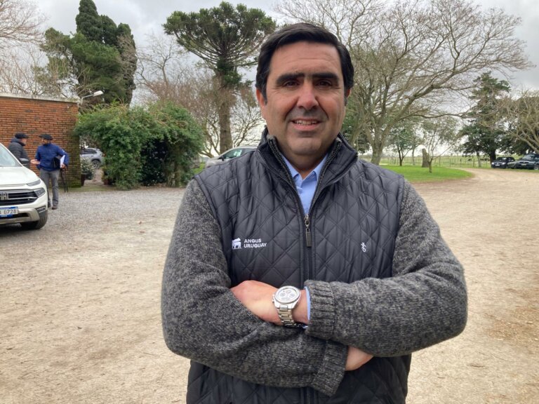 Lee más sobre el artículo Angus muestra las grandes oportunidades del negocio ganadero