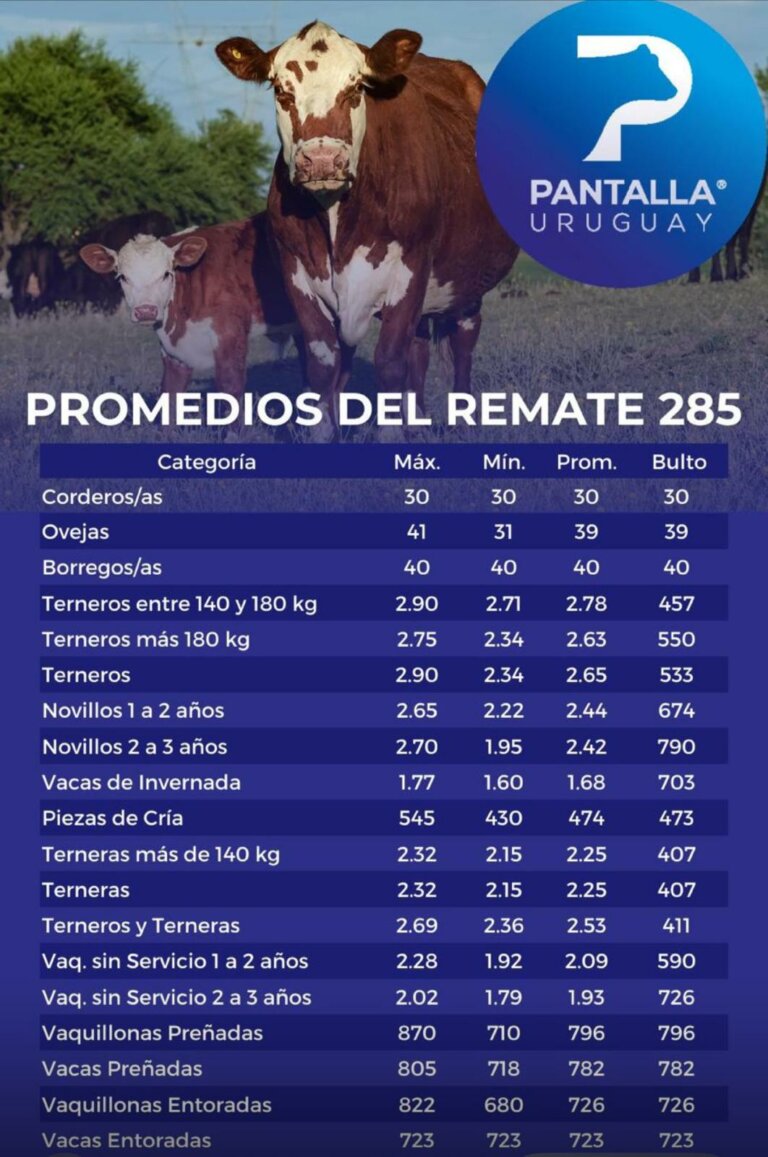 Lee más sobre el artículo El ganado para el campo concita valores «de punta»