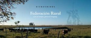Lee más sobre el artículo La Federación Rural exhorta a realizar controles para identificar las existencias reales de ganado