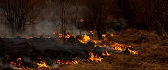 Lee más sobre el artículo El Norte extrema los cuidados por alto riesgo de incendios en campos