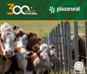 Lee más sobre el artículo Fuerte escalada de los precios del mercado para el campo