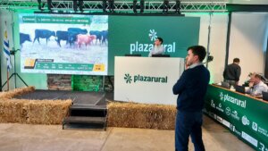 Lee más sobre el artículo Sostenida escalada de valores en el mercado ganadero