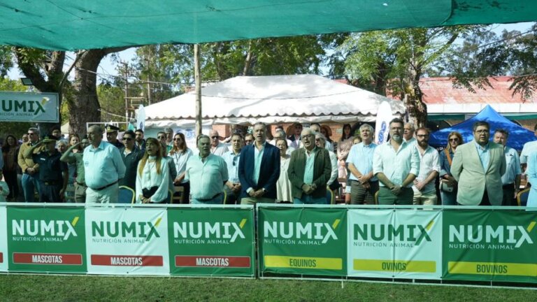 Lee más sobre el artículo MGAP estimulará la cría bovina con un plan para mil productores