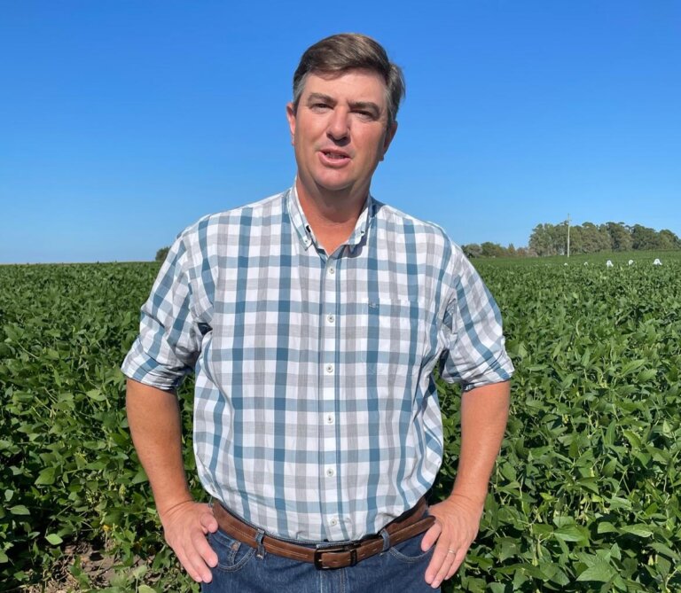 Lee más sobre el artículo La agricultura en las puertas de una súper cosecha