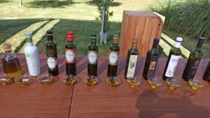 Lee más sobre el artículo El sector olivícola se abre paso con la calidad en Uruguay y el mundo