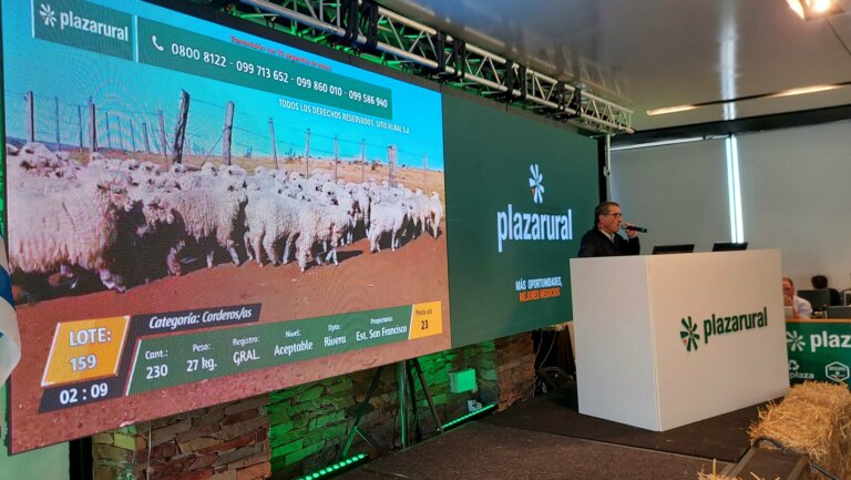 Lee más sobre el artículo Con más kilos los ganados para el campo mantienen la firmeza en sus valores