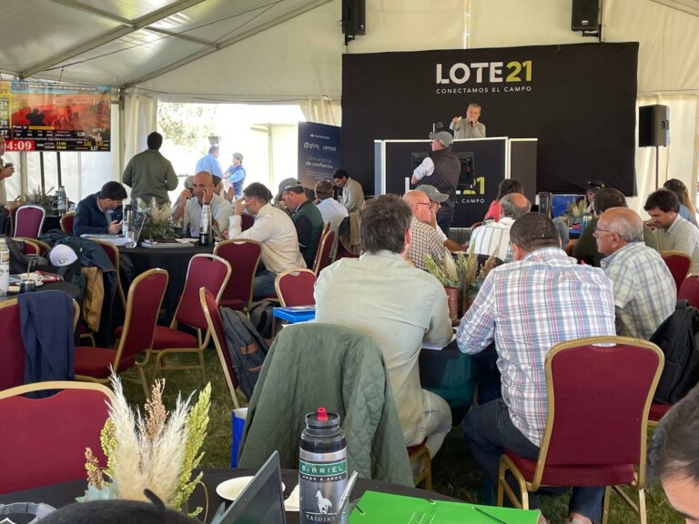Lee más sobre el artículo La reposición se expande con cotizaciones sostenidas en Lote 21